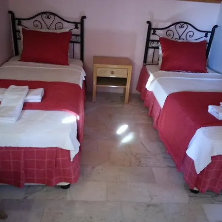 Ξενοδοχείο Antik 3*