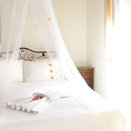 Antik Hotel 3*