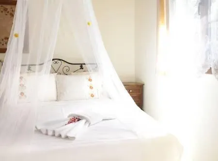 Antik מלון אלאקאטי