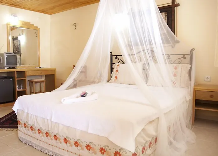 Antik فندق ألاتشاتي