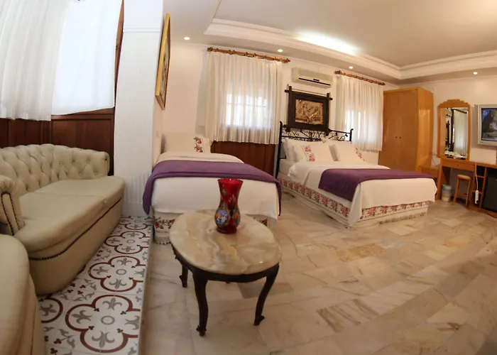 Antik فندق ألاتشاتي